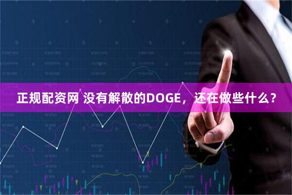 正规配资网 没有解散的DOGE，还在做些什么？