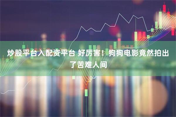 炒股平台入配资平台 好厉害！狗狗电影竟然拍出了苦难人间
